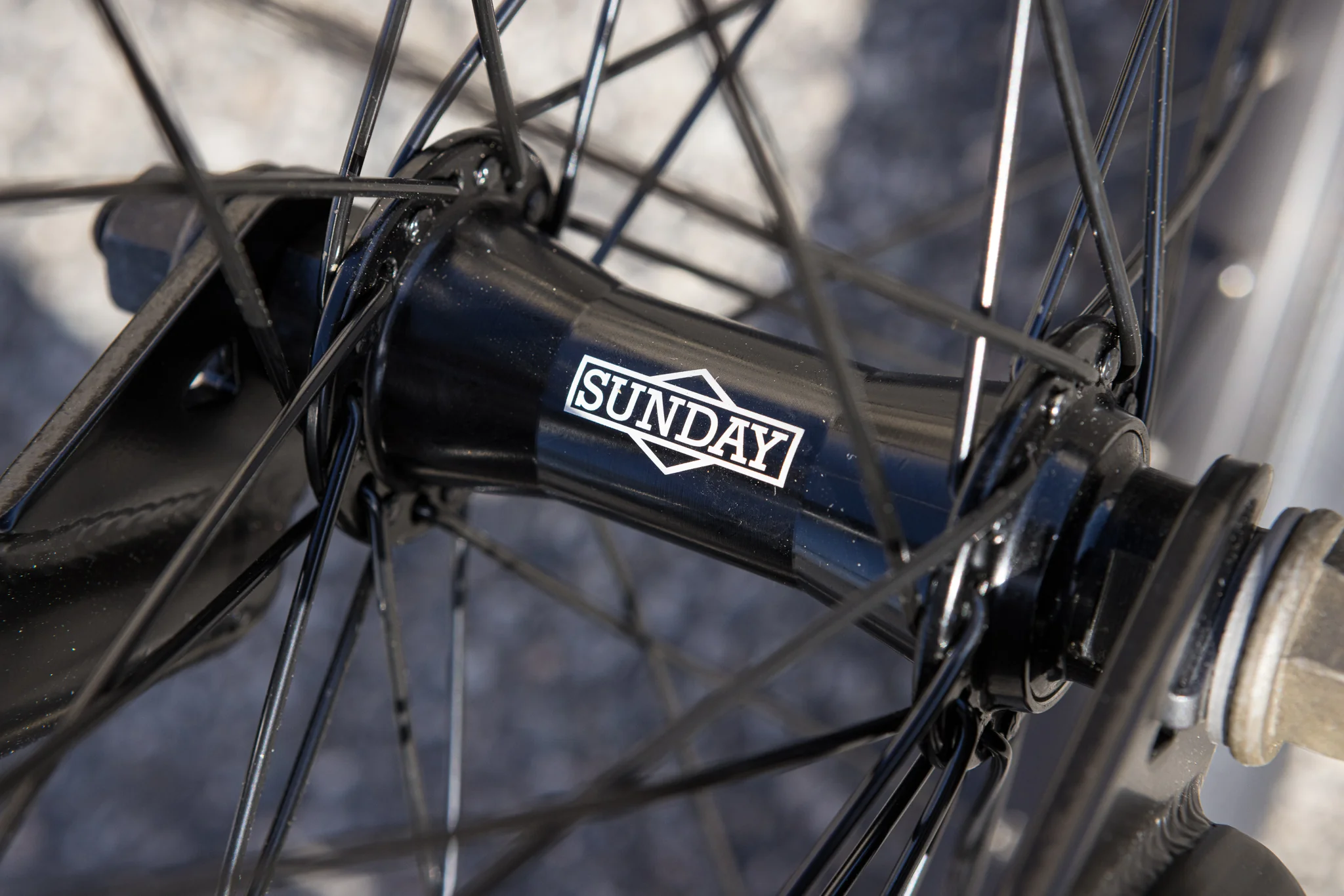 Sunday Scout (Gloss Pine Green with 20.75" tt) - Image 9