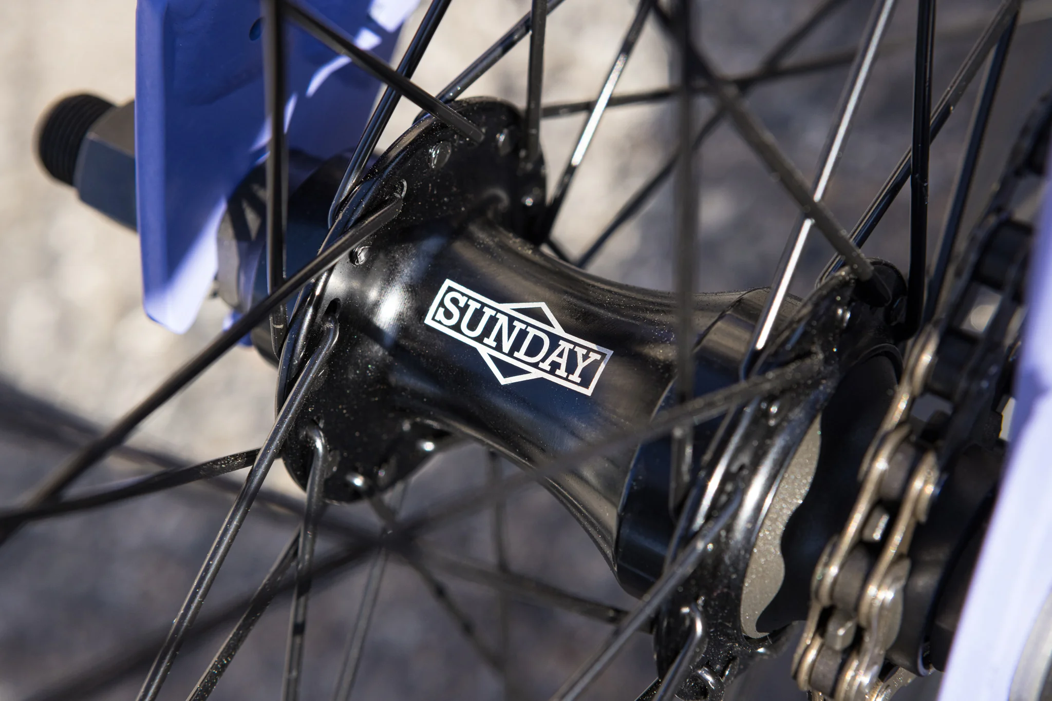 Sunday Scout (Matte Blue Lavender with 21" tt) - Image 15