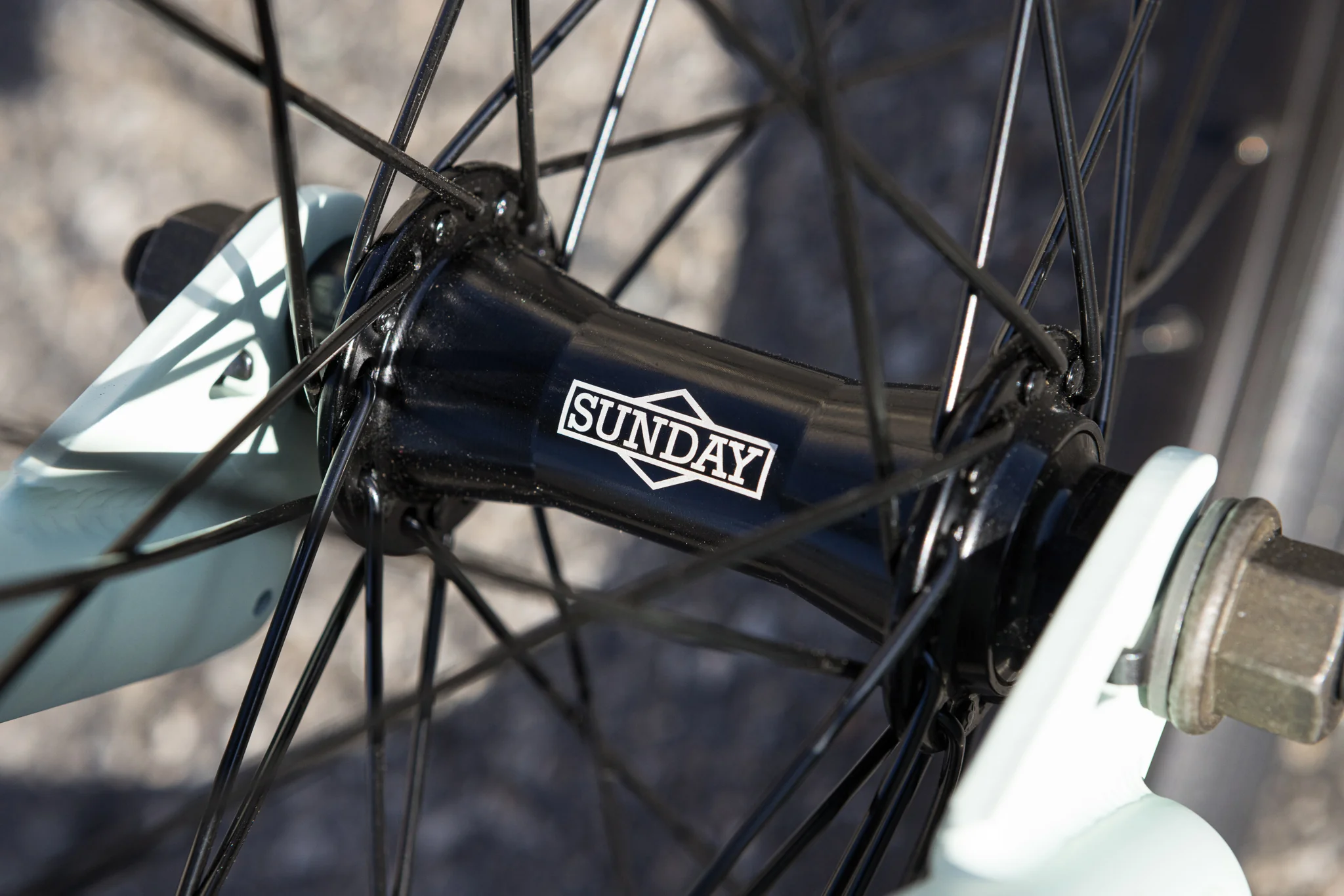 Sunday Scout (Matte Cool Mint with 20.75" tt) - Image 10
