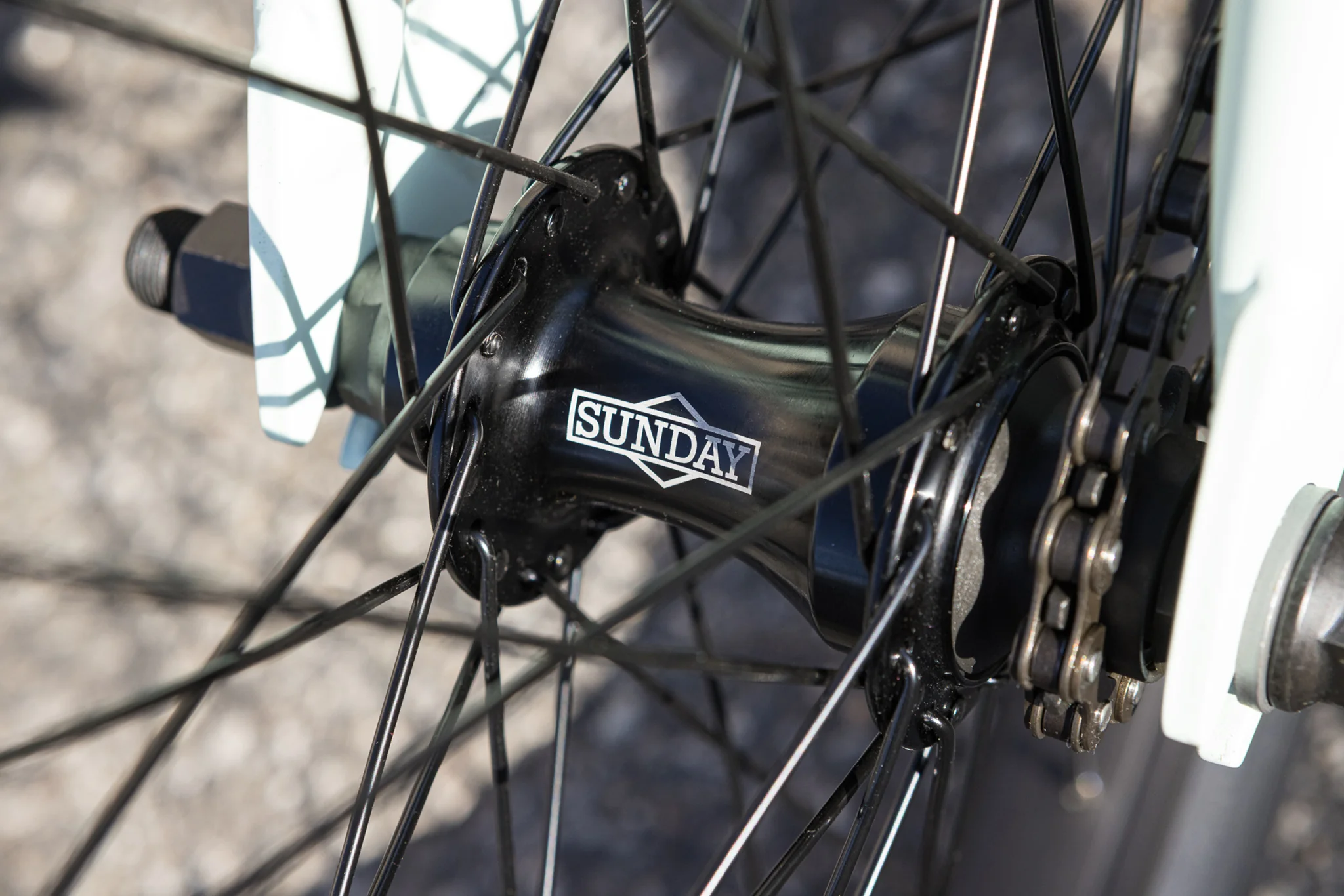 Sunday Scout (Matte Cool Mint with 20.75" tt) - Image 15